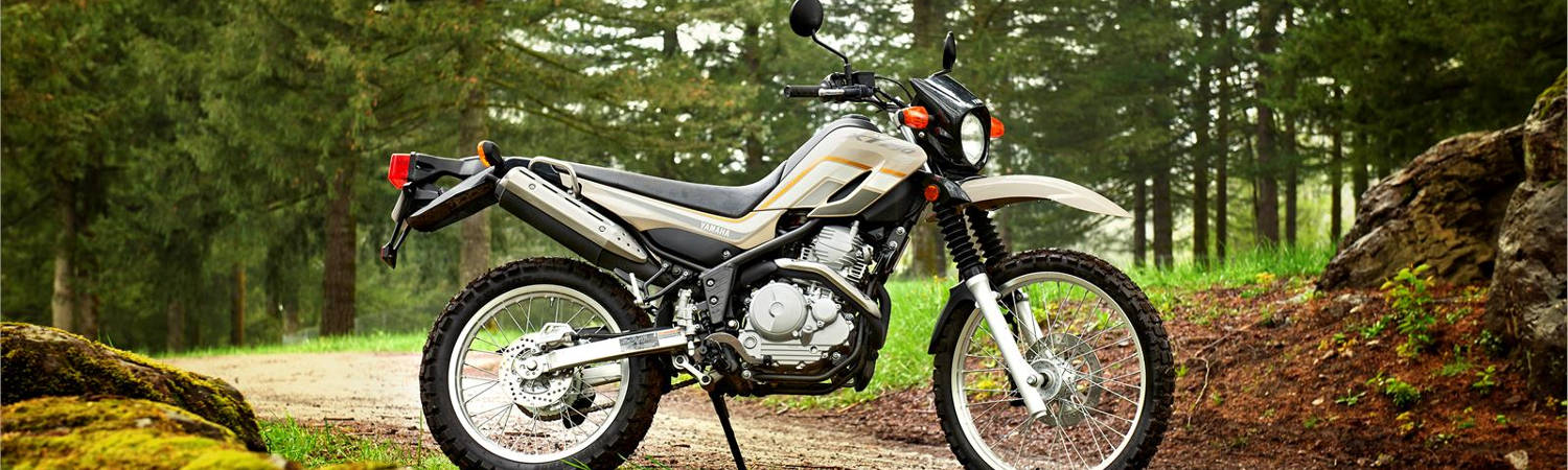 2019 Yamaha for sale in Wild Child Cycles, Springtown, Texas